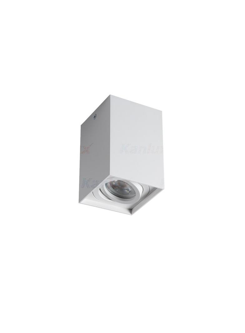 GORD XS DLP-50-W Oprawa sufitowa natynkowa GORD XS DLP-50-W regulowana kolor biały 1XGU10 25477 KANLUX