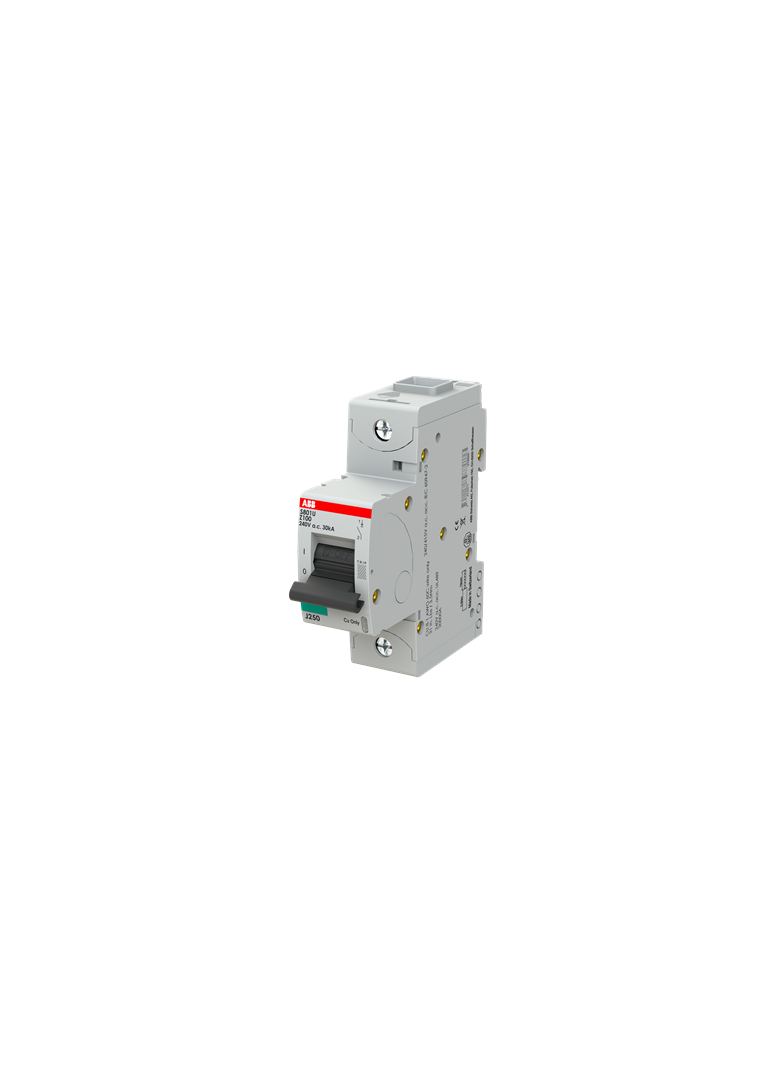 S801U-Z100 Wyłącznik nadprądowy 25kA 1P Z100A 2CCS881017R0825 ABB