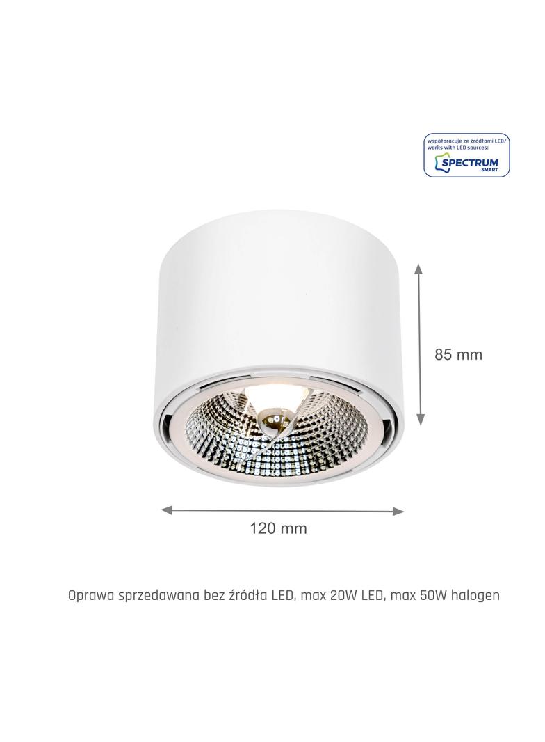 CHLOE AR111 IP20 okrągła biała nieruchoma