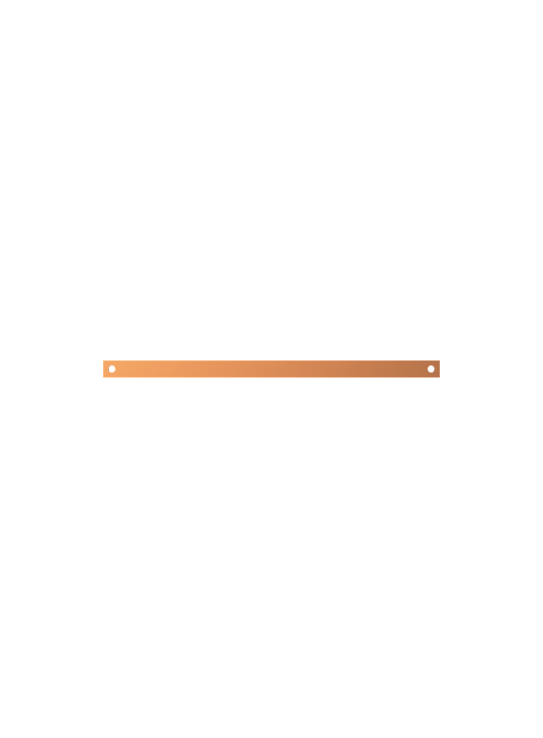 ZX1099 Szyna Cu 30x5mm 2F