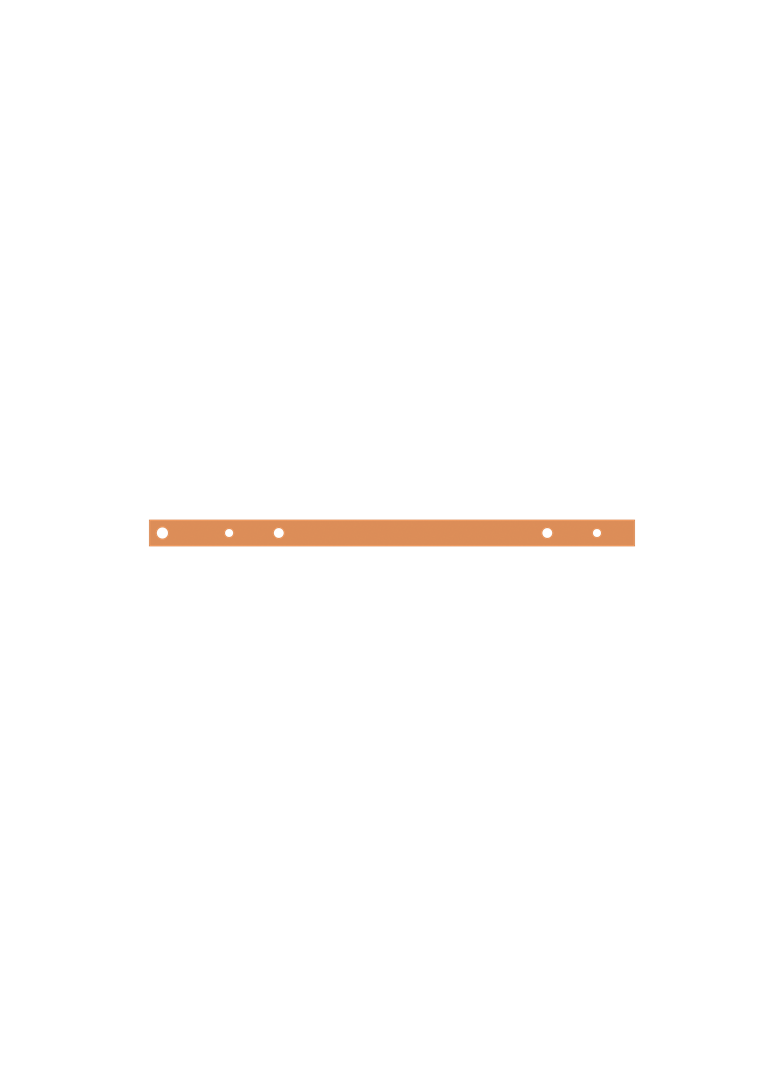 ZX1065 Szyna Cu 30x10mm 2F