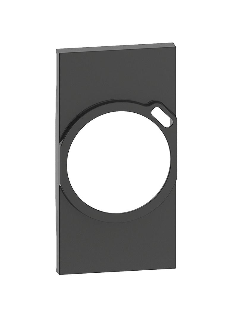 LIVING NOW - PLAKIETKA GNIAZDA 2P+Z SCHUKO + USB - 2 MODUŁY - CZERŃ, Bticino