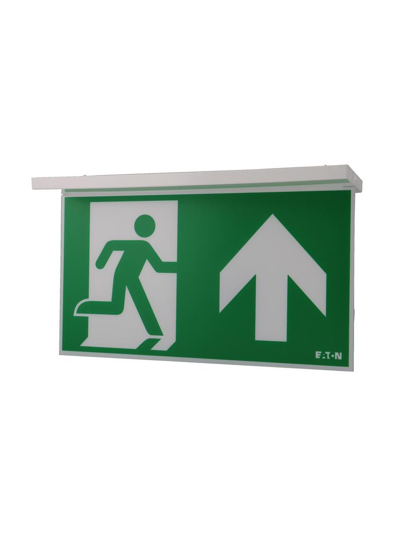 NexiTech LED szyba strzałka do góry / strzałka do góry 30m ISO7010 NEXI-PLEX-UU EATON