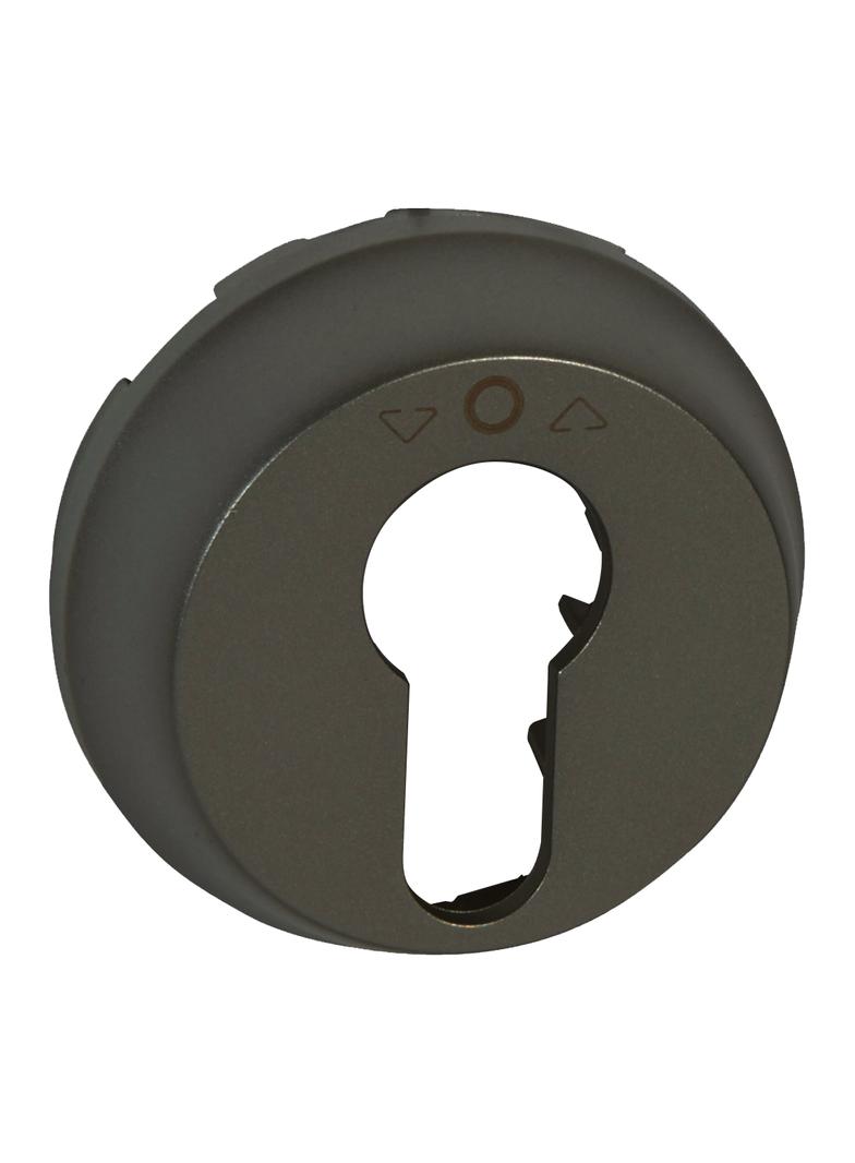 CELIANE - Plakietka do przycisku sterowania rolet na klucz grafitowa, Legrand