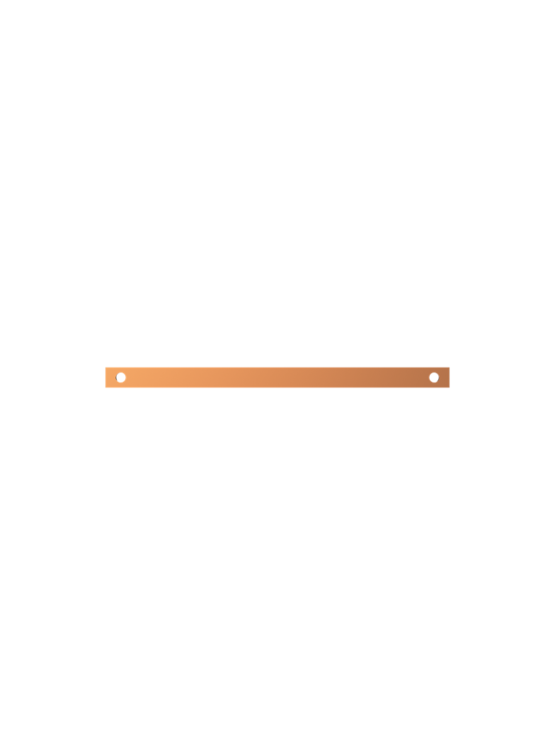 ZX1092 Szyna Cu 20x5mm 1F