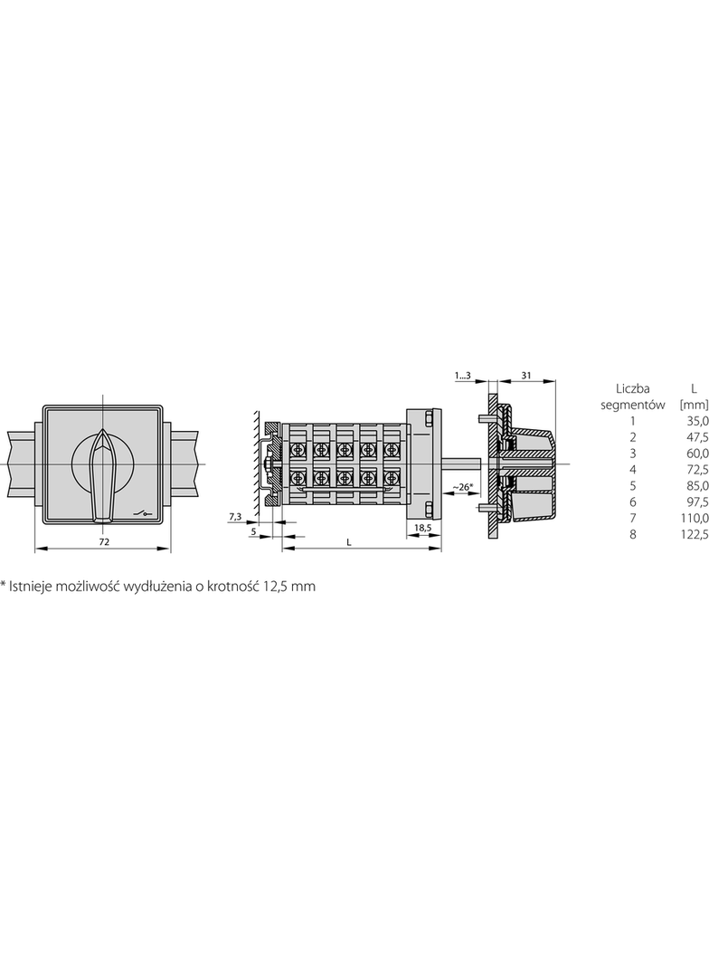 Łącznik Krzywkowy 15A, Rozłącznik 0-1 (1 - biegunowy), mocowany na szynie czoło szare pokrętło czarn