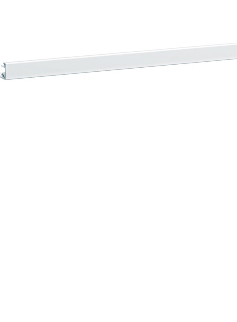 tehalit.BRN65/ BR65 Pokrywa boczna 65x130, biały BRN02529016 HAGER