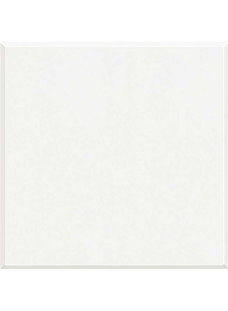 AXOLUTE - ZAŚLEPKA 2 MODUŁY BIAŁA, Bticino