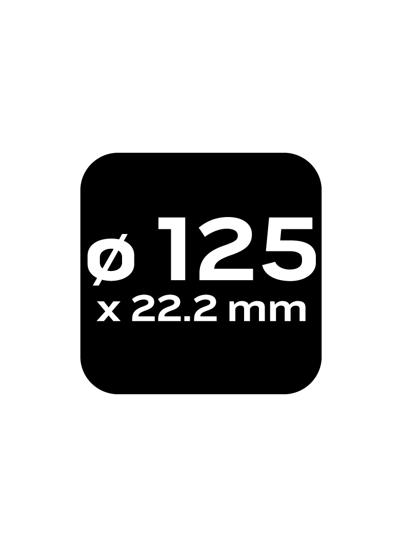Ściernica listkowa 125 x 22.2 mm, K120