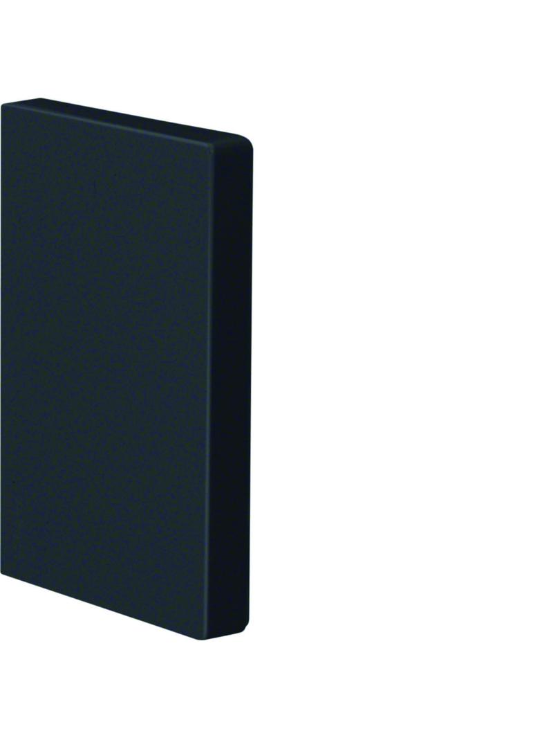 tehalit.BRP Końcówka 65x100 czarny BRP6510069011 HAGER