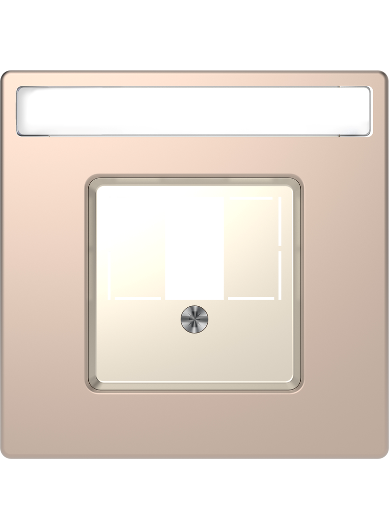 Merten, D-Life, płytka centralna uniwersalna, szampan metalik