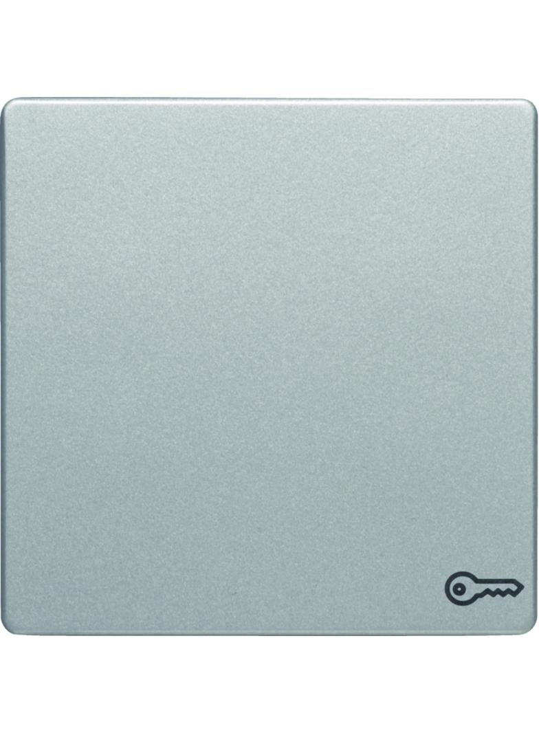 BERKER Q.x Klawisz z nadrukowany symbol klucz do łącznika 1-klawiszowego aluminium aksamit lakierowa
