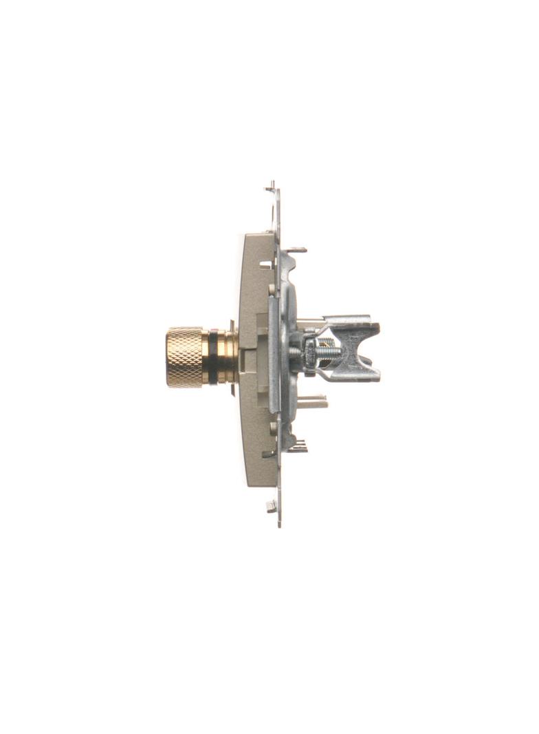 Simon 54 Gniazdo głośnikowe pojedyncze Przekrój przewodów dla wyjścia do 6 mm2 złoty mat