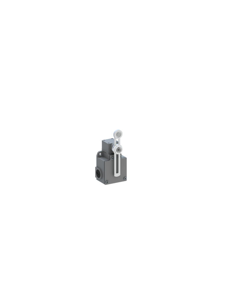 Wyłącznik krańcowy LS73M52B11