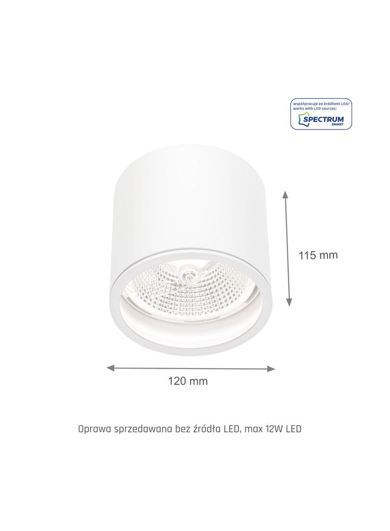 CHLOE AR111 GU10 IP65 okrągła biała nieruchoma