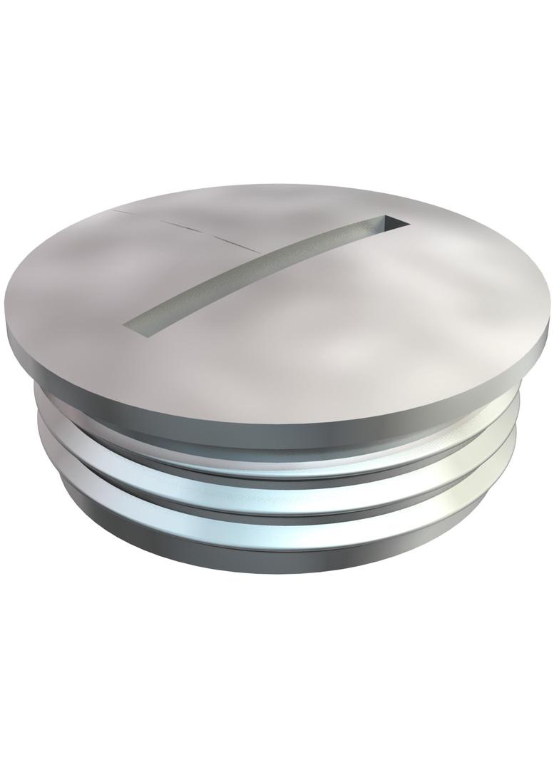 168/MS, ZAŚLEPKA GWINTOW.PG9 MS/NIKL.