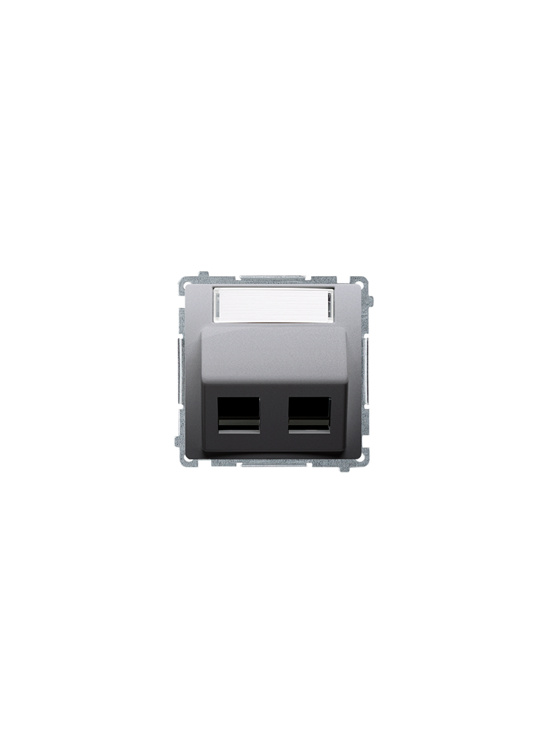 Simon Basic Pokrywa gniazd teleinformatycznych na wkłady RJ typu: Panduit skośna podwójna z polem opisowym. Montaż do puszki na wkręty stal inox BMGPS2P.02/21 KONTAKT