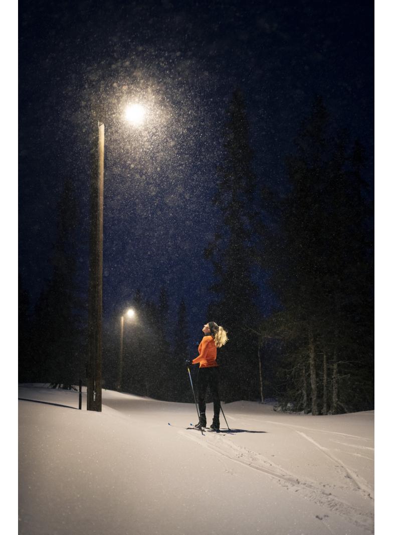 Oprawa uliczna STREETLIGHT FLEX SMALL 25W 730 RV25ST ALW