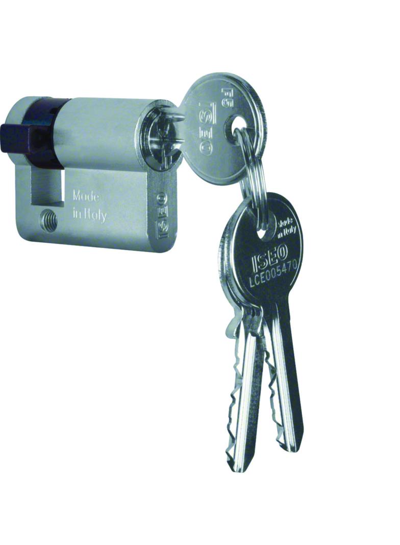 BERKER Wkładka patentowa z różnymi zamkami 1818 HAGER