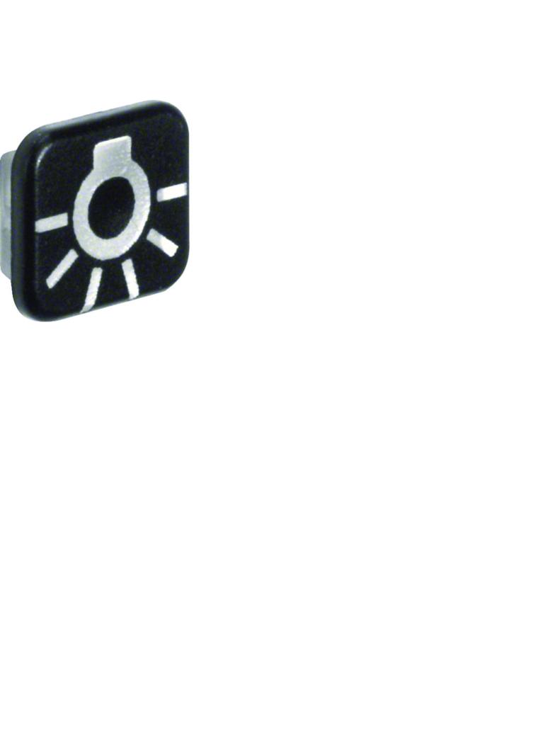 BERKER W.1 Soczewka z nadrukiem symbolu światło (10szt.) 18223501 HAGER