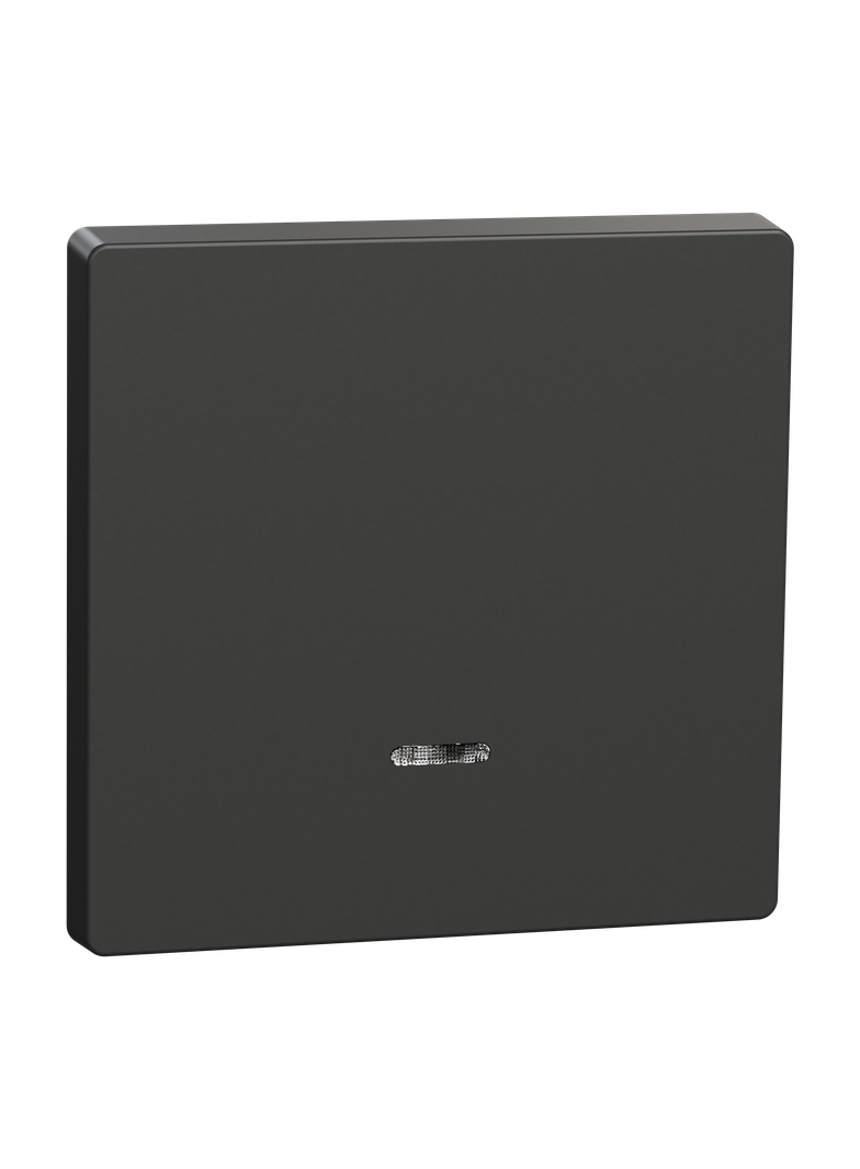 Merten, Klawisz z okienkiem sygnalizacyjnym, D-Life, antracyt