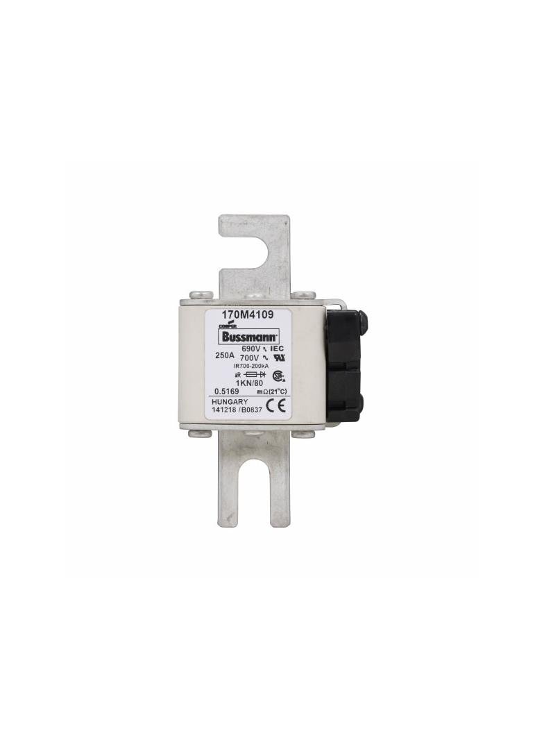 250A 690V 1KN/80 aR INDICATOR FUSE Wkładka szybka 250A AC 690V DIN 1 53x69x108 mm aR DIN 170M4109 EA