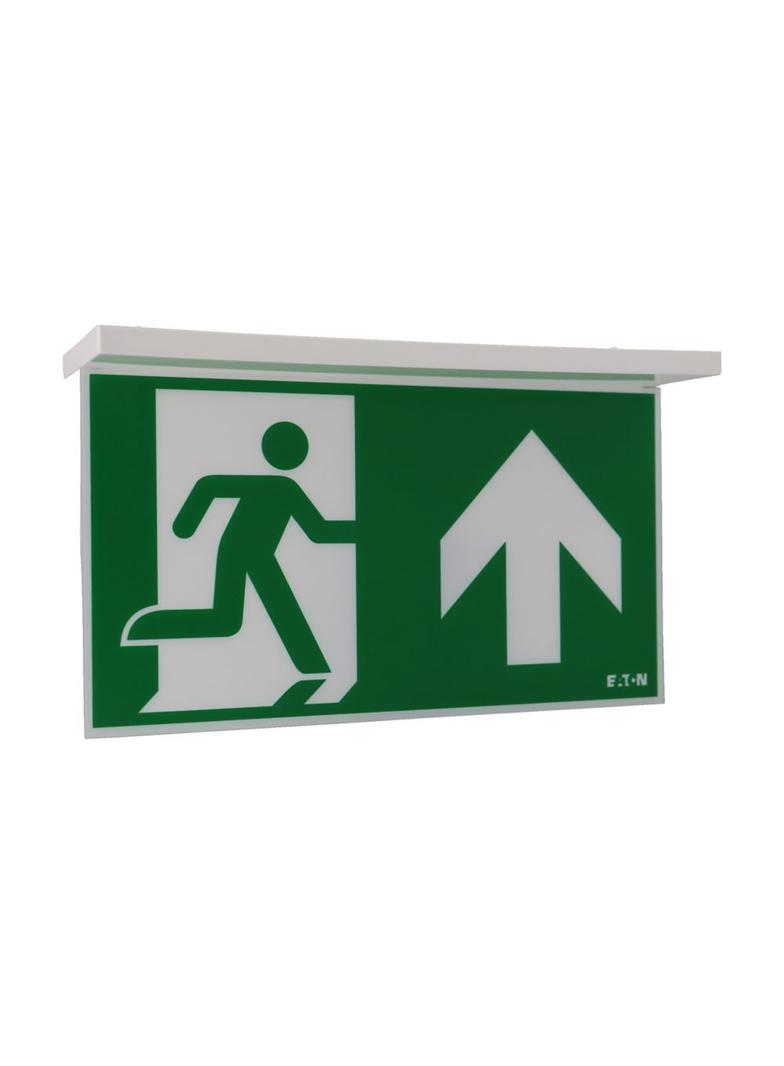 NexiTech LED szyba strzałka do góry / strzałka do góry 30m ISO7010 NEXI-PLEX-UU EATON