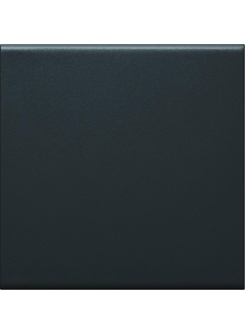 tehalit.WA Klawisz do łącznika 1-klawiszowego PC-ABS bezhalogenowy czarny