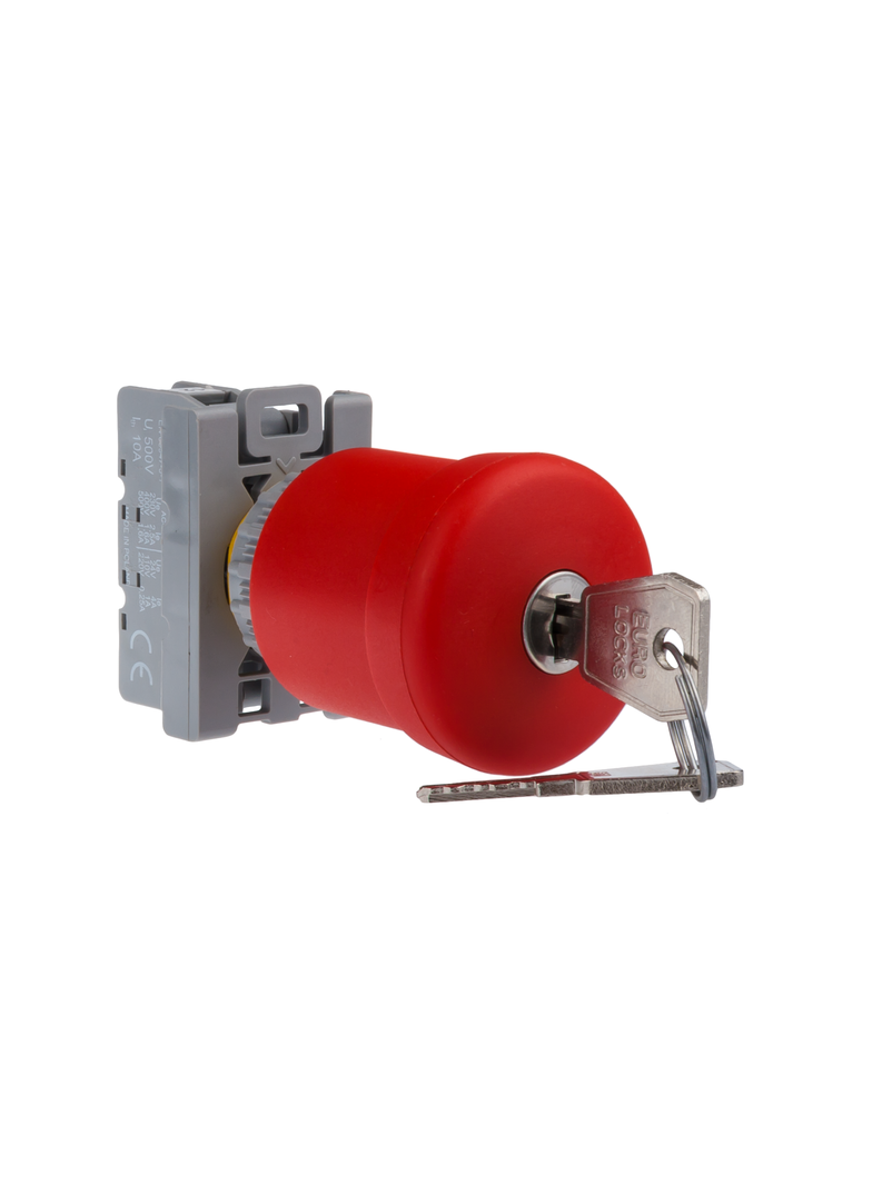 PRZYCISK BEZP.Z KLUCZYKIEM 1ZW 1ROZ      STANDARD