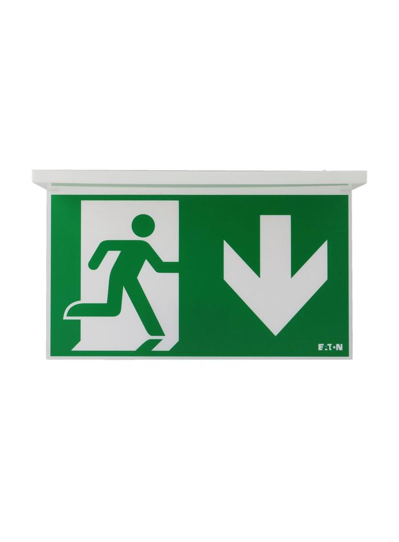 NexiTech LED opal szyba strzałka w dół / zaślepka 30m ISO7010 NEXI-PLEXO-DB EATON