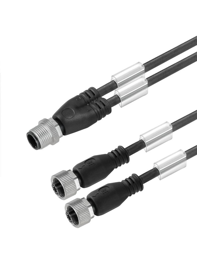SAIL-ZW-M12BG-3-0.3U Kabel czujnikowy, nr katalogowy 1005460030