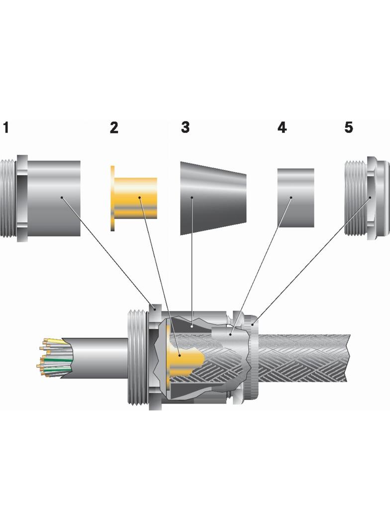 SKINDICHT_SHVE-M_32/29/24/19_009.69