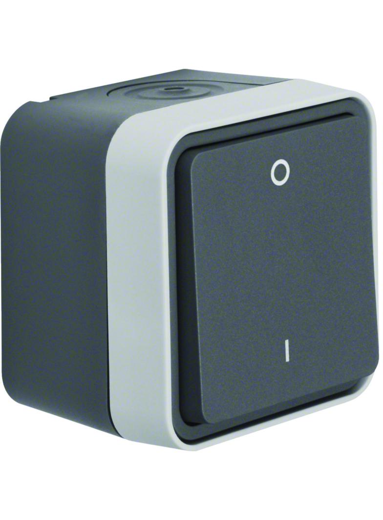 BERKER W.1 Łącznik 1-klawiszowy dwubiegunowy z nadrukiem "0/1" kompletny IP55 szary 30723505 HAGER