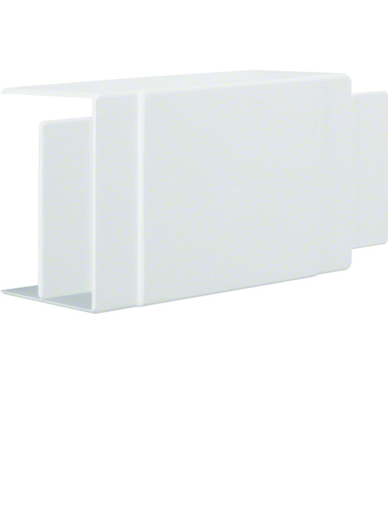 tehalit.LF Element T/X, 60x90mm, biały LF6009089016 HAGER