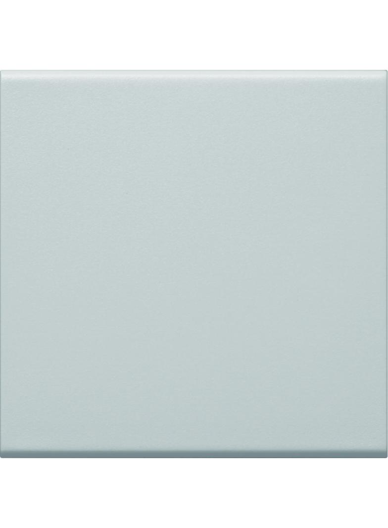 tehalit.WA Klawisz do łącznika 1-klawiszowego PC-ABS bezhalogenowy jasnoszary