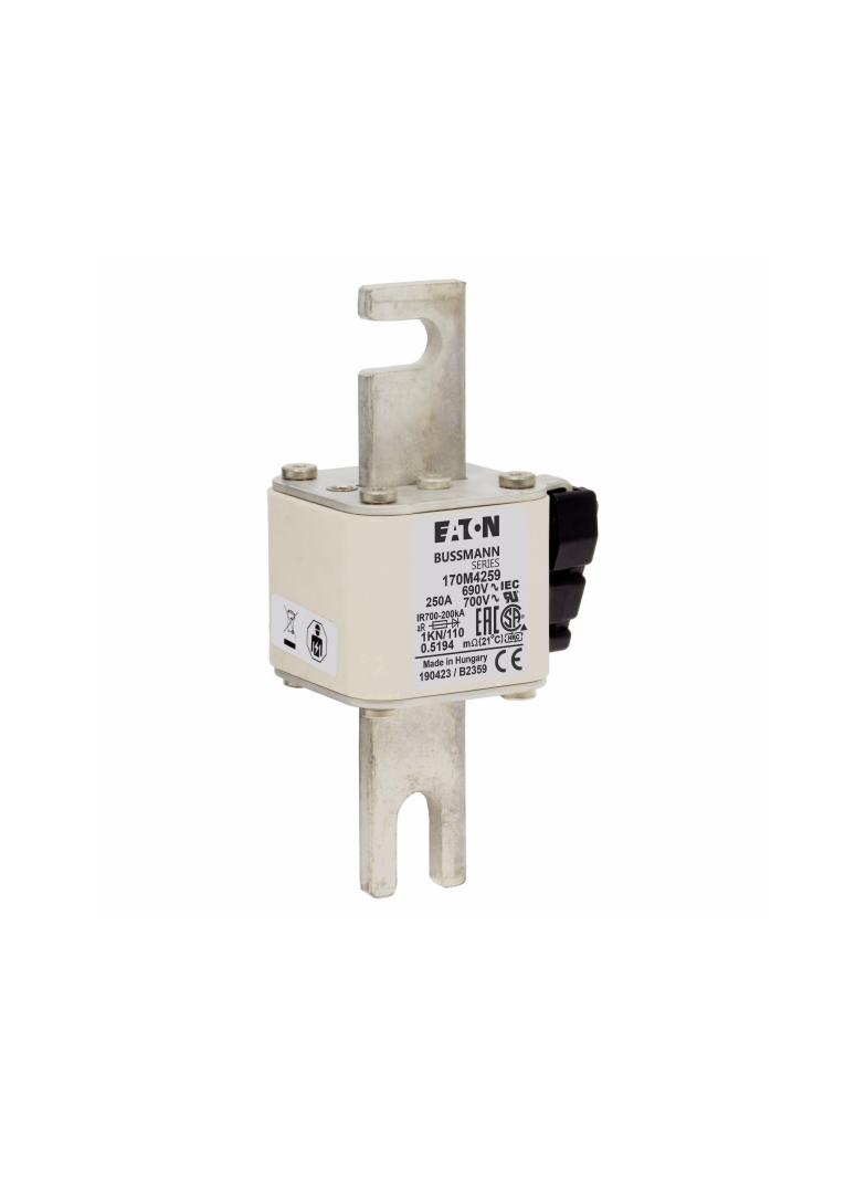 250A 690V 1KN/110 aR INDICATOR FUSE Wkładka szybka 250A AC 690V DIN 1 53x69x138 mm aR DI 170M4259 EA