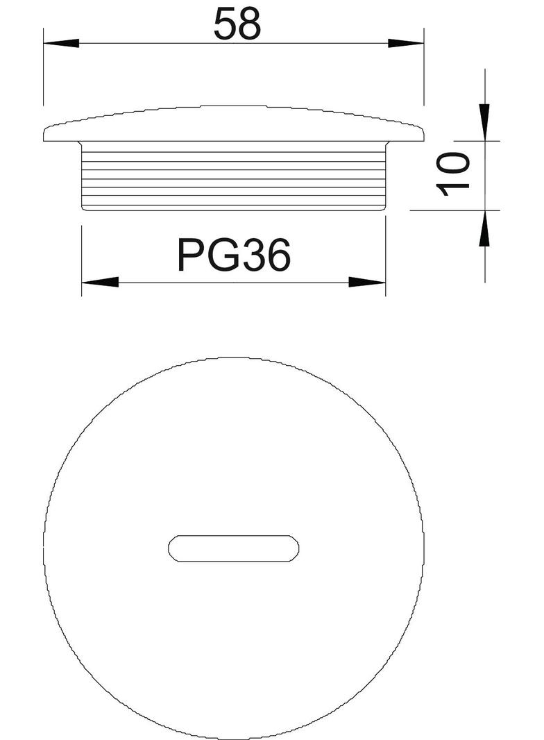 108, ZAŚLEPKA GWINTOW.PG36 TW.SZ