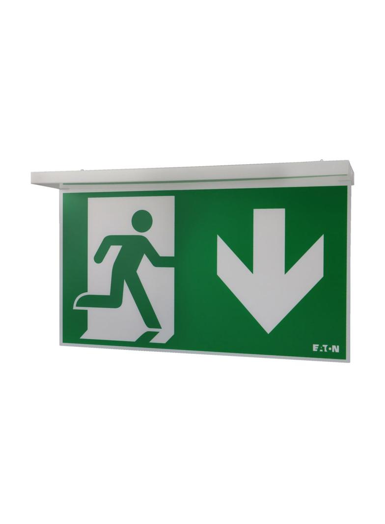 NexiTech LED opal szyba strzałka w dół / zaślepka 30m ISO7010 NEXI-PLEXO-DB EATON