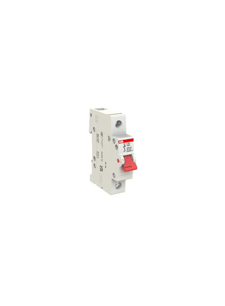 E201/100A gr, rozłącznik