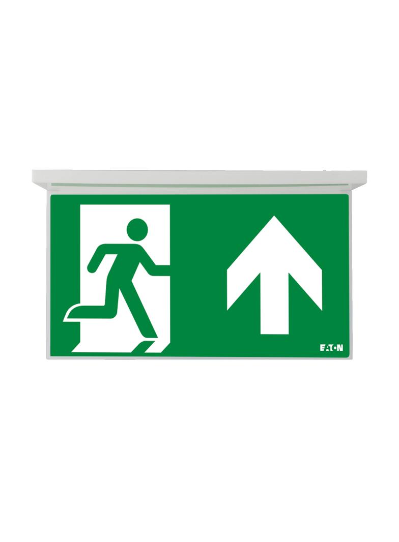 NexiTech LED opal szyba strzałka do góry / strzałka do góry 30m ISO7010 NEXI-PLEXO-UU EATON