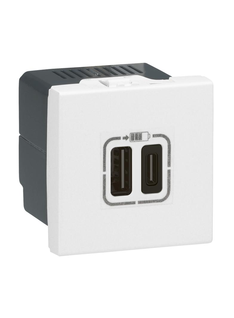 MOSAIC - Ładowarka 2 x USB 2400 mA Typ-A + Typ-C Biały, Legrand