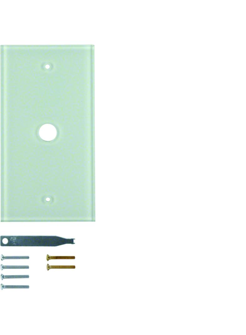 TS Szklana płytka dekoracyjna pojedyncza śnieżnobiały błyszczący Berker 1391 WZD7100GW HAGER