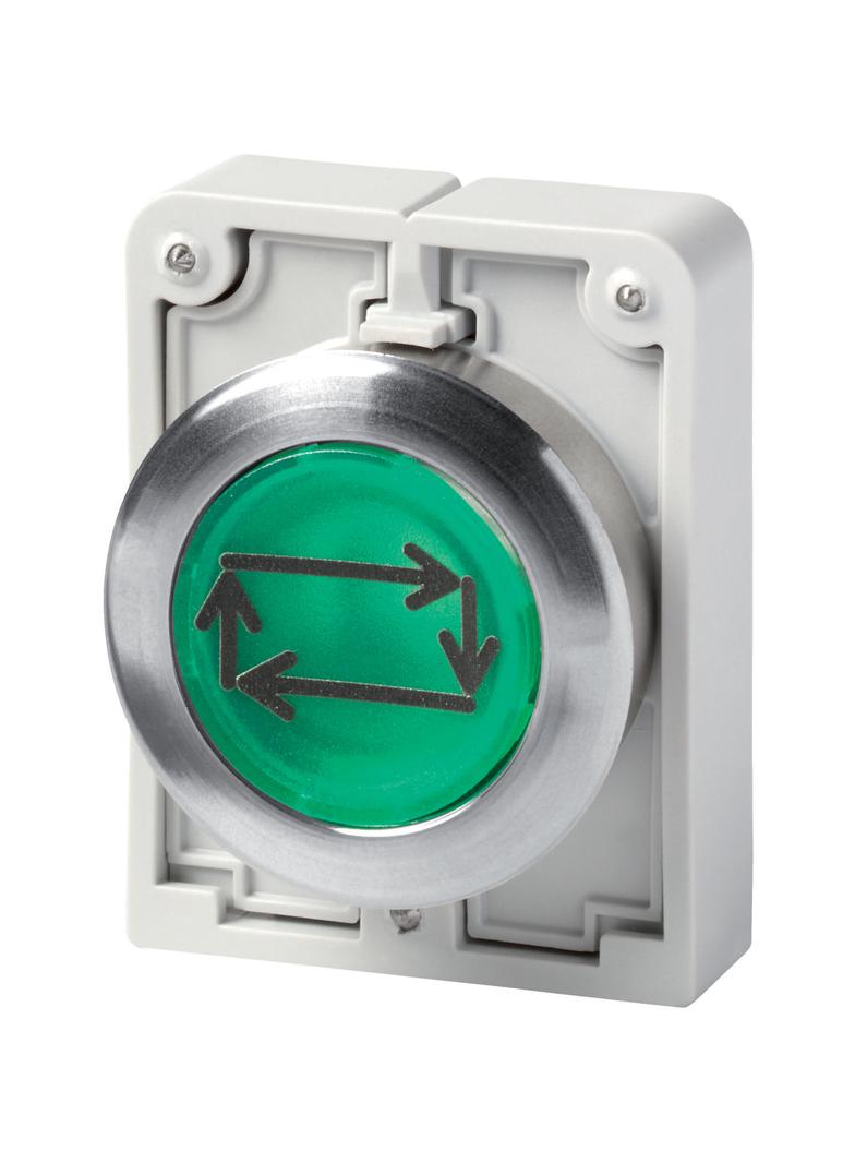 M30C-FDL-G-X32 Przycisk podświetlany 30mm płaski zielony X32 z samopowrotem 182968 EATON