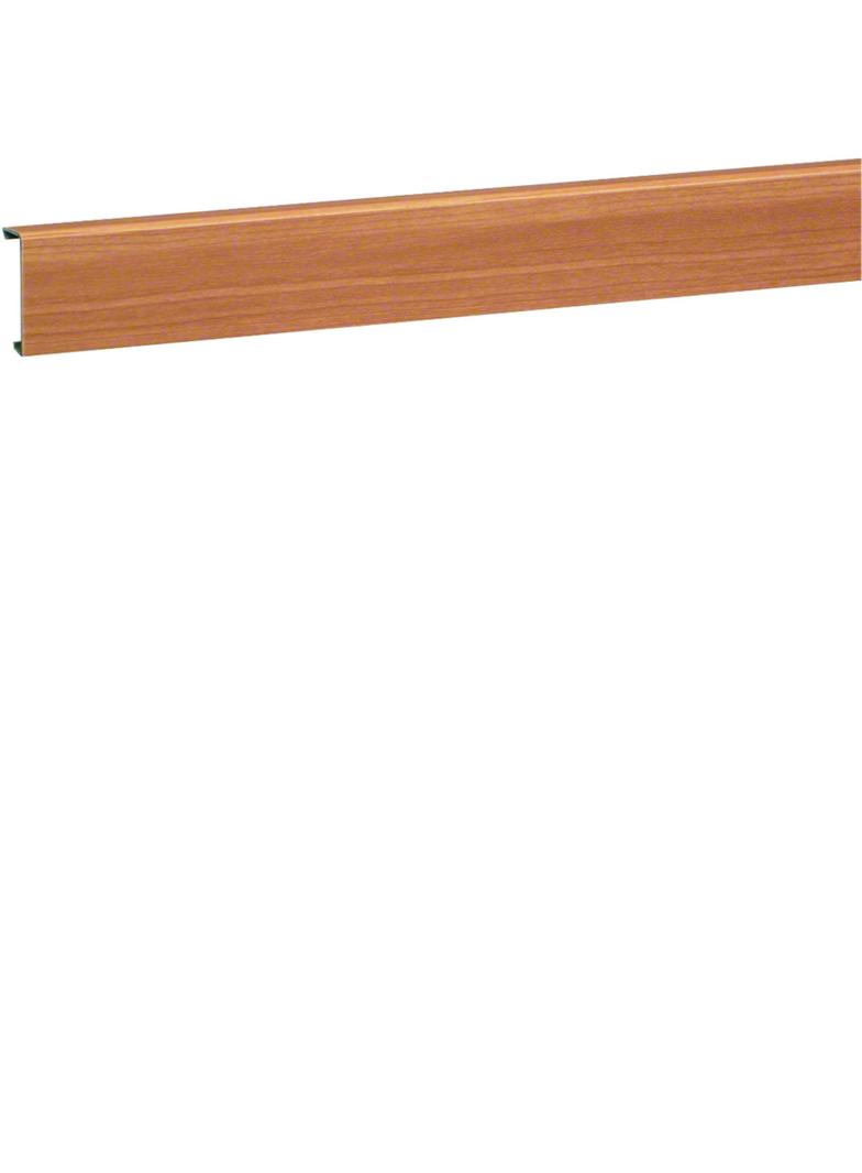 tehalit.SL Pokrywa 20x55 buk SL200552D2 HAGER