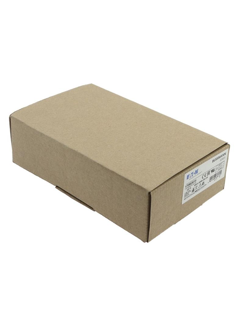 100A 690V aR 00/80 SQ. BODY IND. FUSE Wkładka szybka 100A AC 690V DIN 00 30x51x100 mm aR, 170M2614 E