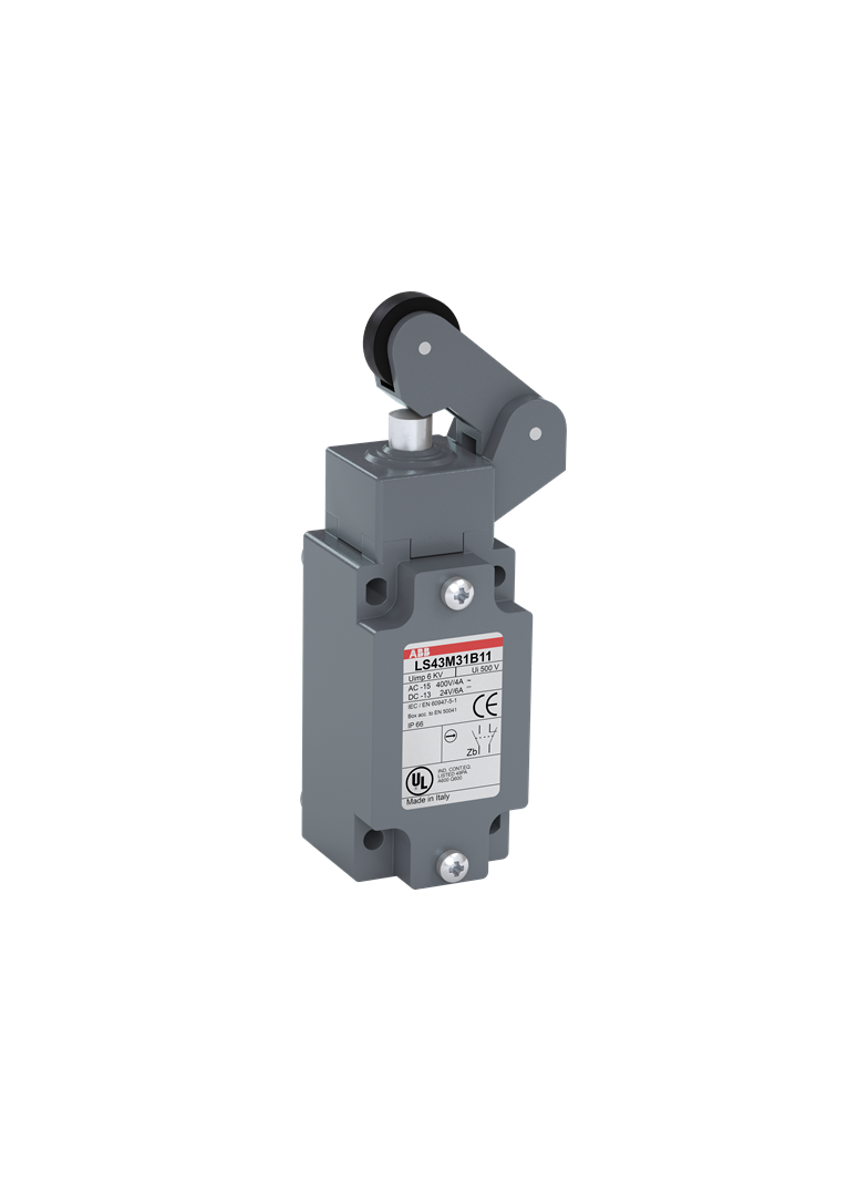 Wyłącznik krańcowy LS40M31B11