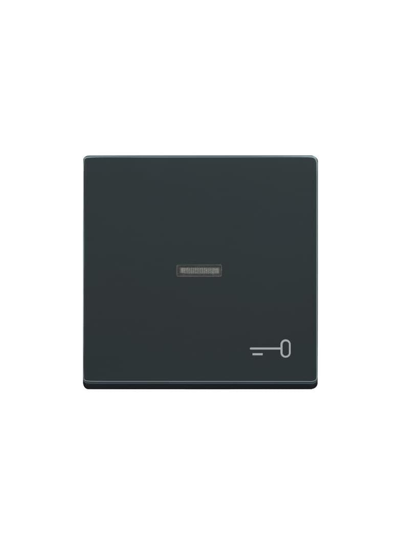 CARAT/FUTURE  Klawisz z symbolem "klucz" Do przycisku zwiernego antracyt