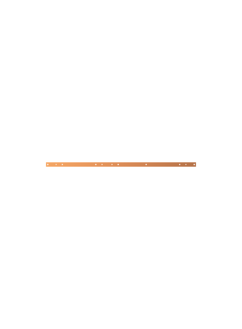 ZX1114 Szyna Cu 40x10mm 5F