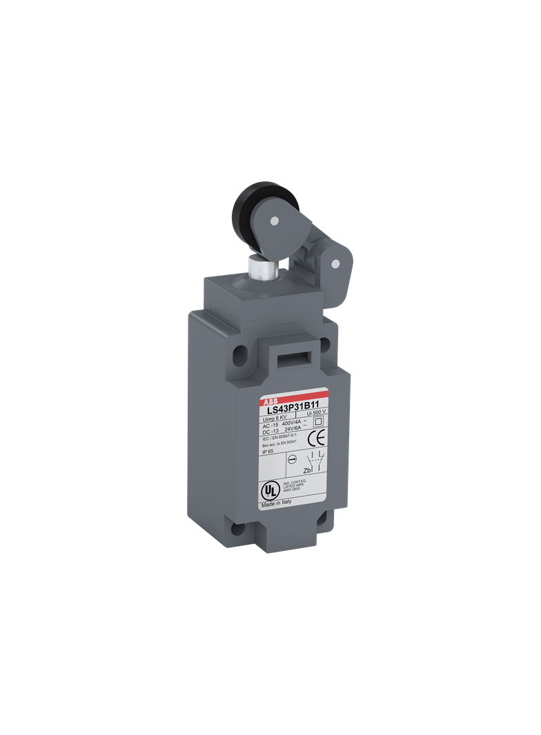 Wyłącznik krańcowy LS40P31B11