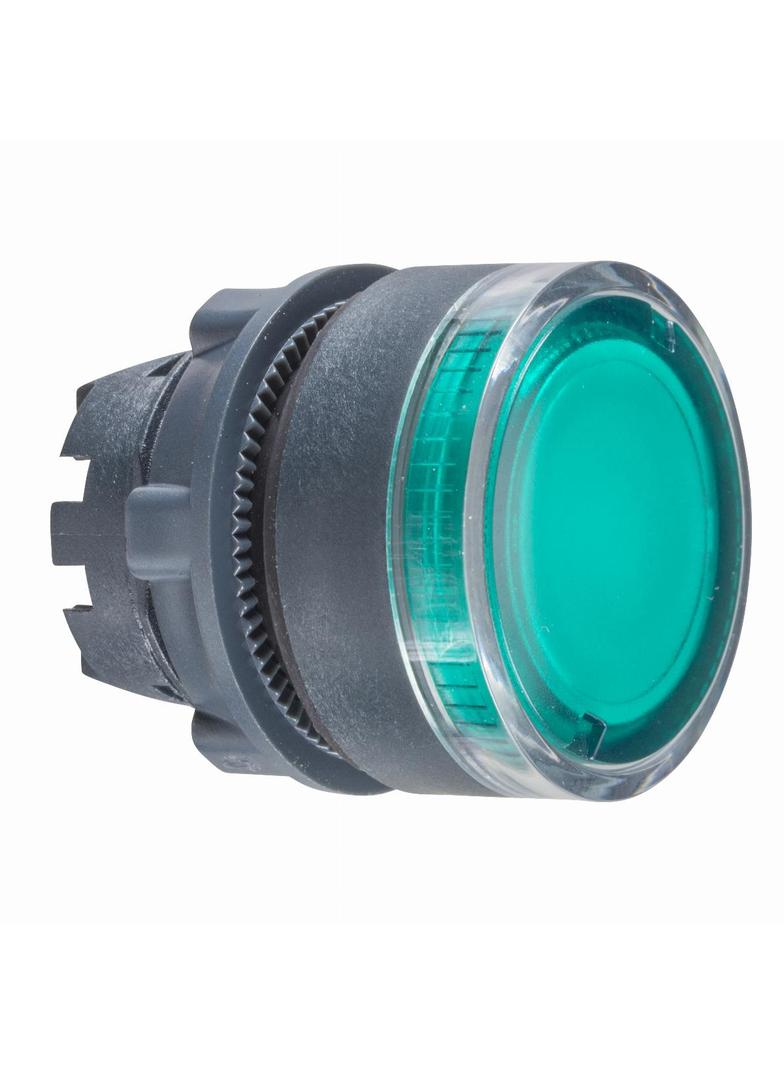 Harmony XB5 Główka przycisku płaskiego z samoczynnym powrotem, żarówka BA9s, zielona plastikowa